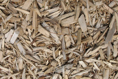 biomass boilers Thornton Le Clay